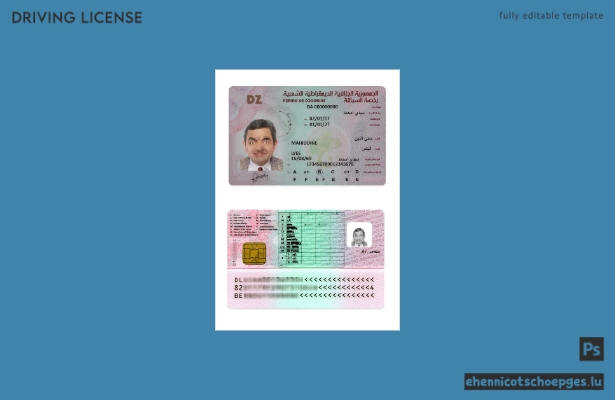 Beispiel für einen algerischen Führerschein